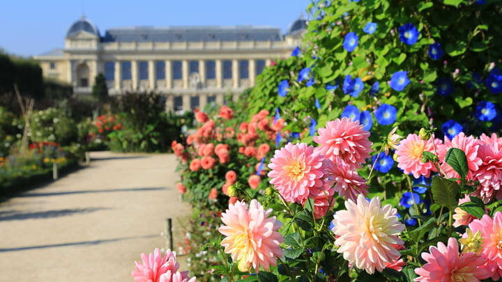 The Jardin des Plantes botanical garden in Paris